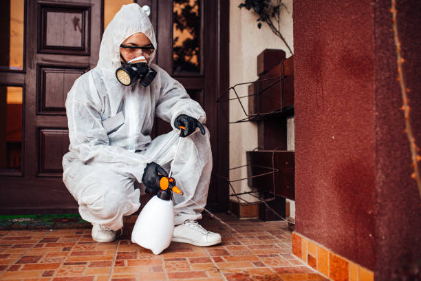 Reliable Emergency Pest Control contractor in Sandersville, GA by Nex Pest Control