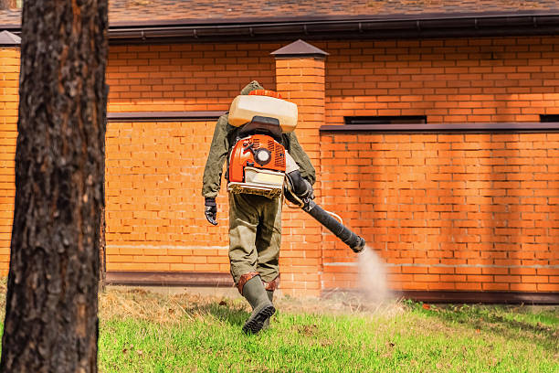 Trusted Emergency Pest Control service in Sandersville, GA - Nex Pest Control